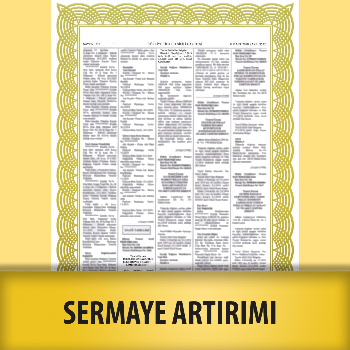 SERMAYE ARTIRIMI