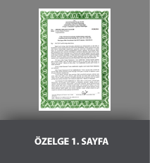 ZELGE 1. SAYFA